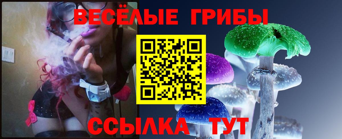 закладки  Псилоцибиновые грибы прущие грибы  Заволжье  Вход с VPN  Псилоцибиновые грибы Psilocybe 